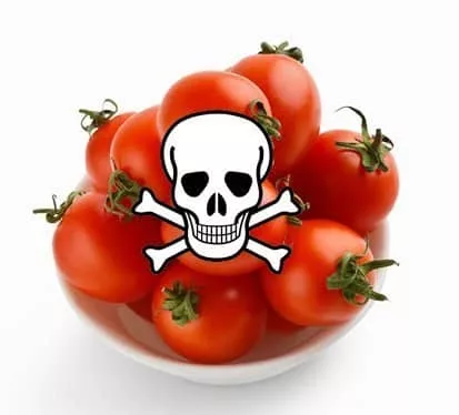 Tomatoes were once feared in Europe. They were thought to be poisonous.