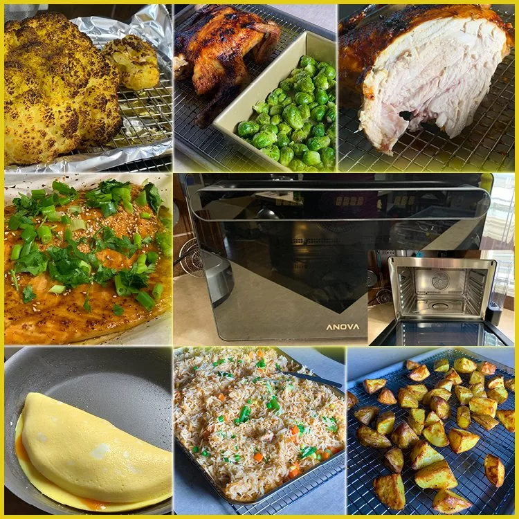 Anova Precision Oven Review Sous Vide in an Oven Sizzle and Sear
