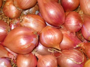 what is shallot good for?